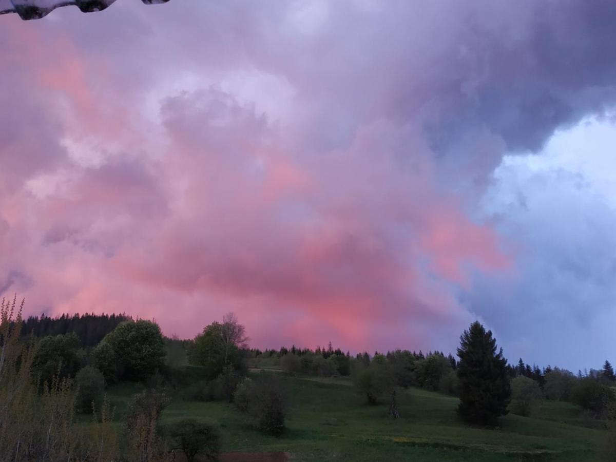 Біля Витягу Slavske Buitenkant foto