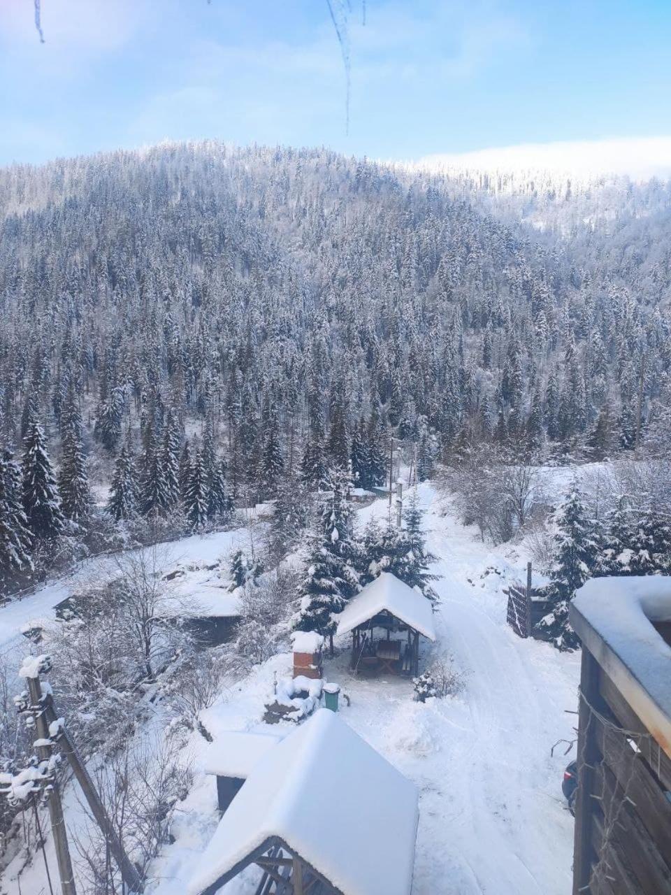 Біля Витягу Slavske Kamer foto