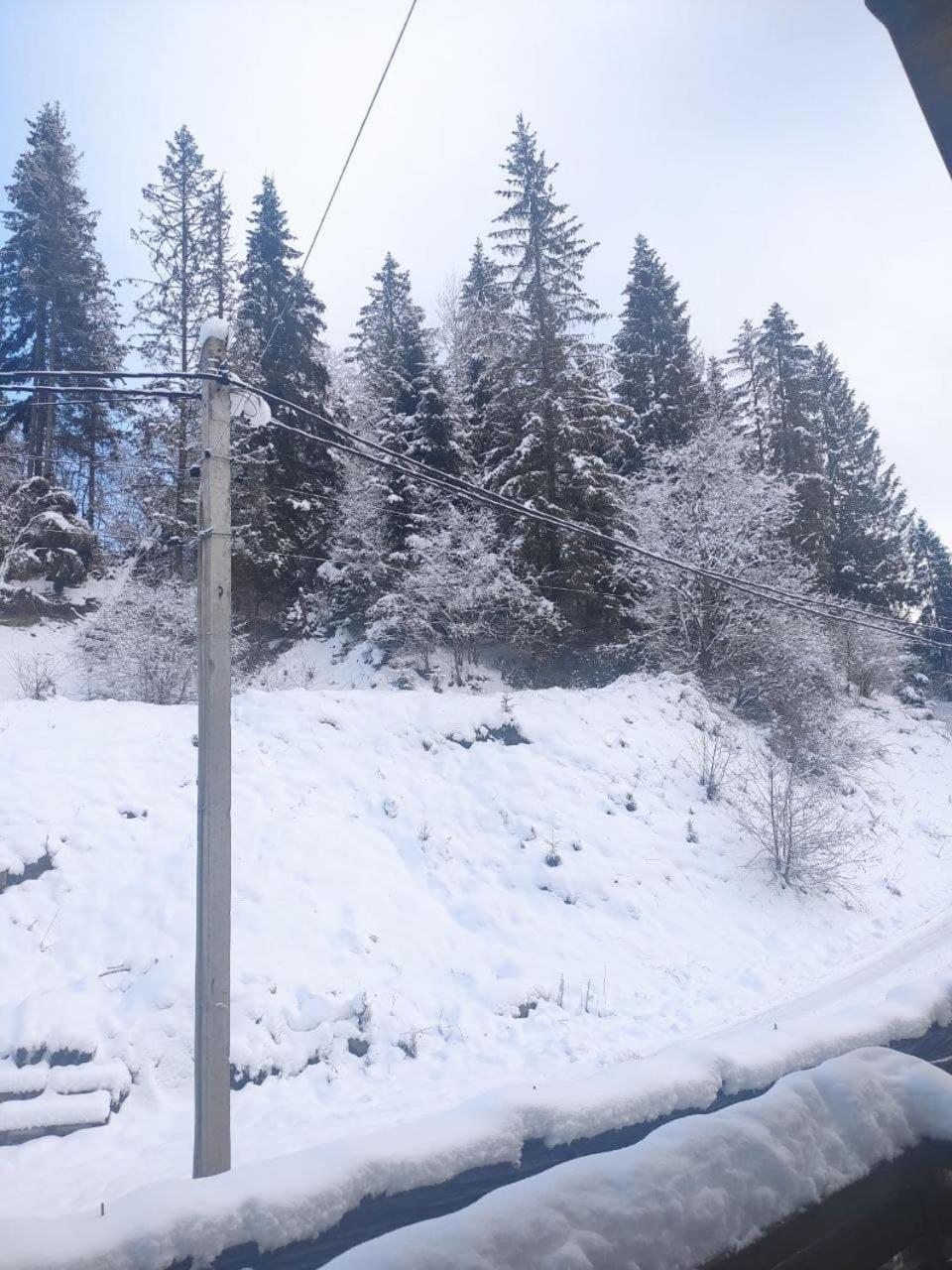 Біля Витягу Slavske Kamer foto
