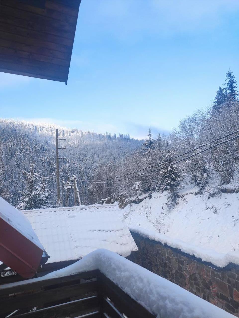 Біля Витягу Slavske Kamer foto